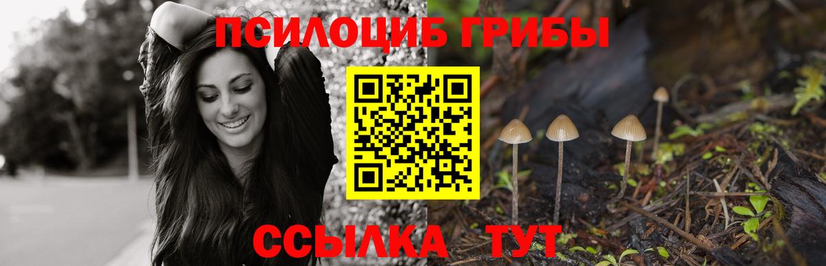 Кирово-Чепецк  где купить наркоту  Вход с VPN  Галлюциногенные грибы мухоморы 